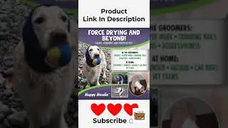 dog toys - kids play with toys rc robot dog | unbox & test!! remote control toys rc dog for kids!!