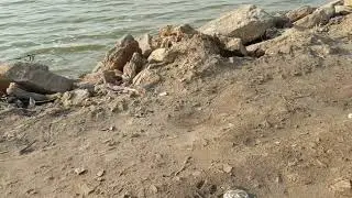 طريق بحر النجف واجواء البحر