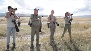 The Art of Wildlife Photography with Tom Mangelsen