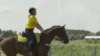 Horseboarding Holland National Championship Horses 2019: 3rd Place: Sunny