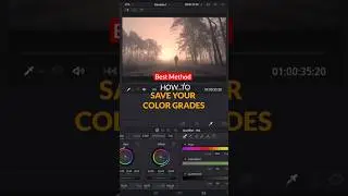 Save Color Grades as Preset (Best Method) DaVinci Resolve
