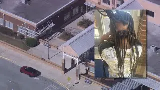 Braids ripped out of DeKalb 3rd grader&rsquo;s head during argument about sexuality | WSB-TV