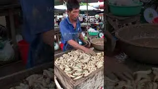 Traditional Market Insights: Sago Worms: Traditional Asian Local Food Culture@darmawanfood-ai