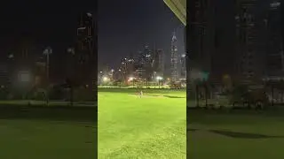 Night Golf at Emirates Golf Club Dubai ⛳️ 🌃  Special guest appearance 🐈 #dubai  #golf #cat #views