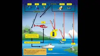 Search and rescue operations of a crashed Aircraft in India explained