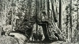 123 Year Old Photos of Picturesque America - Vol. 3