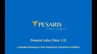 Testzugang Pesaris Lohn