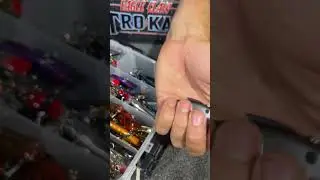 Rat-L-Trap Sounds.