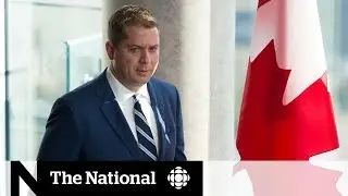 Scheer would slash foreign aid by 25%