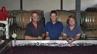 Evolution of Cabernet Sauvignon 🍇 Redman Wines | Coonawarra