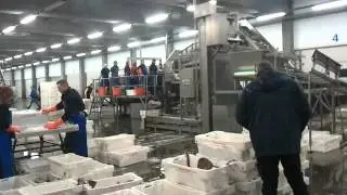 Kongeraal 36 kilo gevangen door de  TX 3