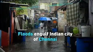 Knee deep flood waters drown eastern Indian coast city