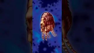 Bạn BIẾT l&aacute; b&agrave;i Bọ Ch&eacute;t Khổng Lồ n&agrave;y kh&ocirc;ng? #yugioh #powerofchaos #bochetkhonglo #powerofchaos