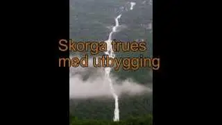 Skorga