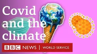Coronavirus and climate change: Will lockdown measures have a long-term impact? - BBC World Service