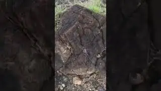 Stone Map at the Peak of the Mountain #treasuresigns