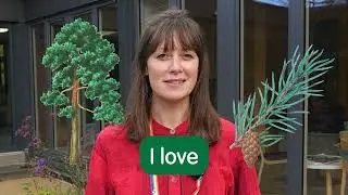 The Trees We Love Most 🌲 | Forest Research Staff Share Their Favourites