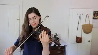 THE WREN ✨ Traditional melody