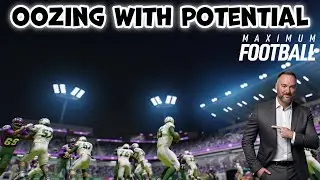 Maximum Football does this better than Madden & CFB