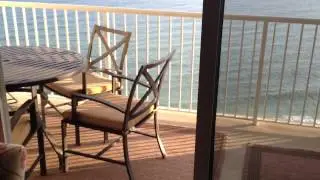Escapes To The Shores 1604