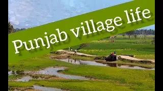 Dera in village |Munazer ali #vlog