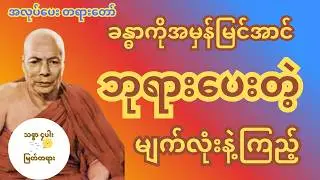 ခန္ဓာကိုအမှန်မြင်အောင် ဘုရားပေးတဲ့ မျက်လုံးနဲ့ကြည့် မိုးကုတ်ဆရာတော်ကြီး မိုးကုတ်တရားတော် အလုပ်ပး