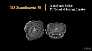DLS Scandinavia 75 - Competition Grade 3