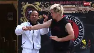 Wing Chun energy drill basic training - Lesson 7 Grab Hand