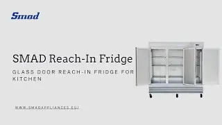 SMAD Reach-In Fridge | Commercial Kitchen Solution