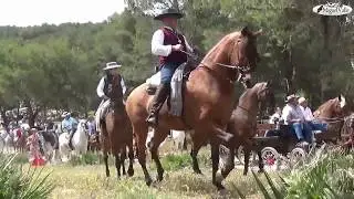 Romería San Isidro Labrador 2018