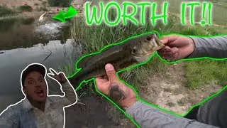 Bank fishing in UTAH... (NEW POND who DIS!)