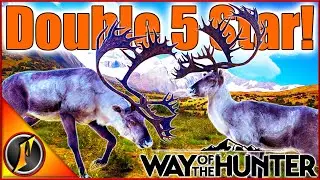 Not One, BUT TWO 5 Star Caribou!!! | Hunting Giants with the Crossbow!