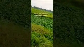 Chala Jata Hoon❤️Kishore Kumar Song #shorts #shortsfeed #viralvideo #old #travel #trending #lovesong