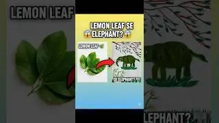 &ldquo;I Made an Elephant Using ONLY Lemon leaf 😲🌿&rdquo; #natureart