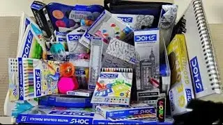 My Ultimate Art Supplies Collection! 🎨 | DOMS aur Apsara Unboxing