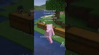 meowmeowmeowmeow in love with the new cat models :O #minecraft #vtuber #streamer #comfort #fyp
