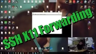 Linux - SSH X11 Forwarding на Linux и Windows