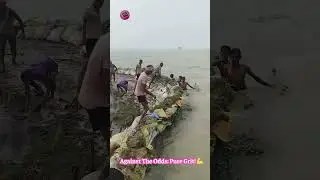 Flood Fight: Watch Them Race Against Time To Build A Dam! #HeroWorkers #CommunityEffort #🌊⏱️🤯