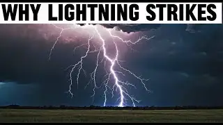 Lightning are fascinating 