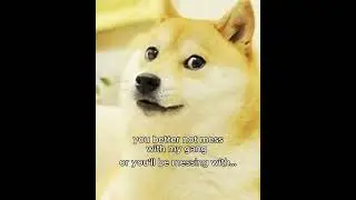 you better not mess with my gang v5 #memes #memedog #doge