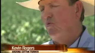 AZ Cotton Farmers benefiting