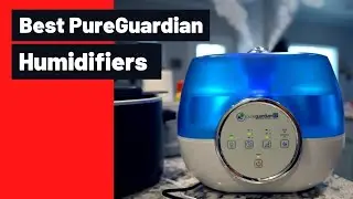 Best PureGuardian Humidifiers for Your Whole Family&rsquo;s
