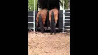 Trailer Tag