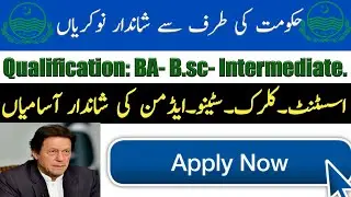 Job in Pakistan||new jobs 2019 in Pakistan apply Now !