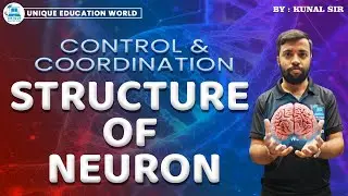 Structure of Neuron | Control & Coordination Class 10 | Full Explanation&nbsp;|&nbsp;NCERT&nbsp;Biology