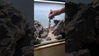Aquascape valley out of elderly stones