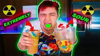 WORLDS MOST SOUR SMOOTHIE CHALLENGE!! (EXTREMELY DANGEROUS!!) *GONE WRONG*
