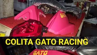COLITA CG GATO RACING DISPONIBLES...
