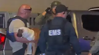 New training program helped injured K-9 receive immediate care at Waianae barricade