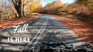 Zontes G155 | An amazing riding scenery!